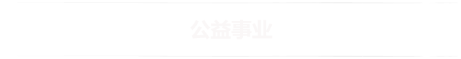 品牌历程
